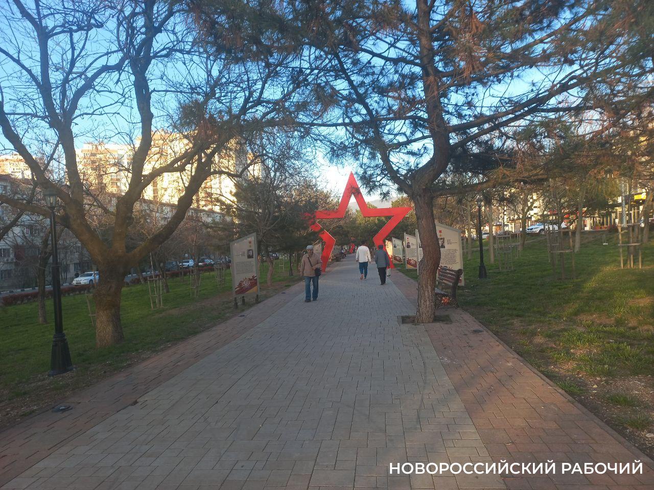 Дождутся ли новороссийские сосенки полива?