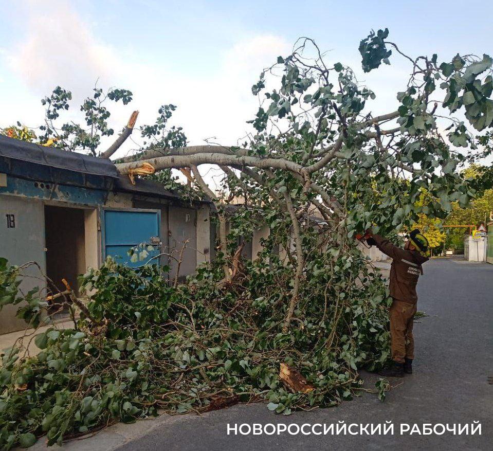 В Новороссийске ураган оставил жителей без света и валил деревья