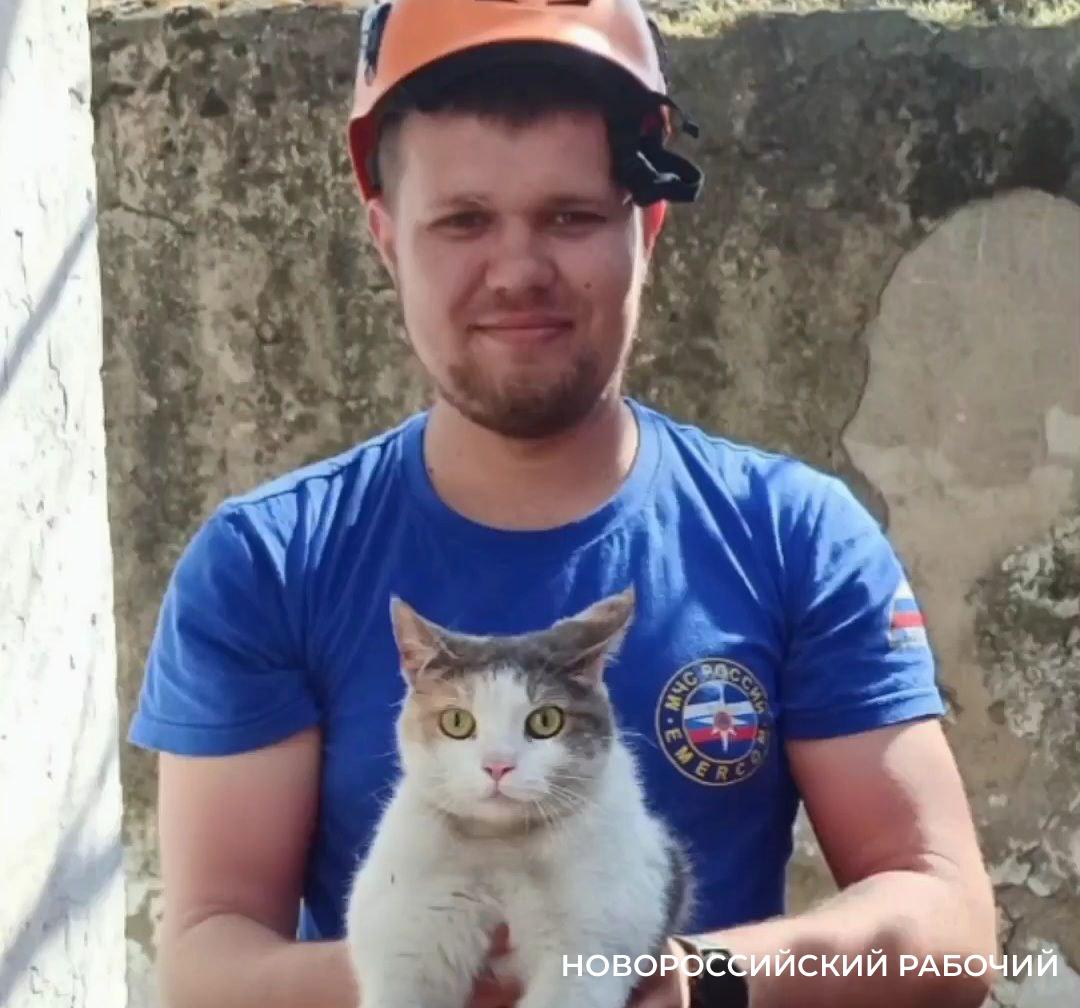 В Новороссийске спасли кота от нападения птиц