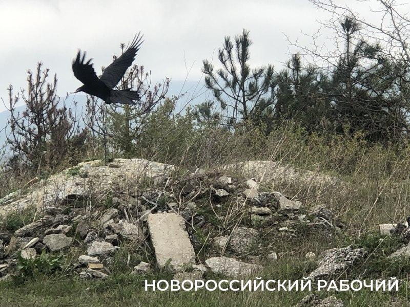 2 марта отмечаем День создания ДНД