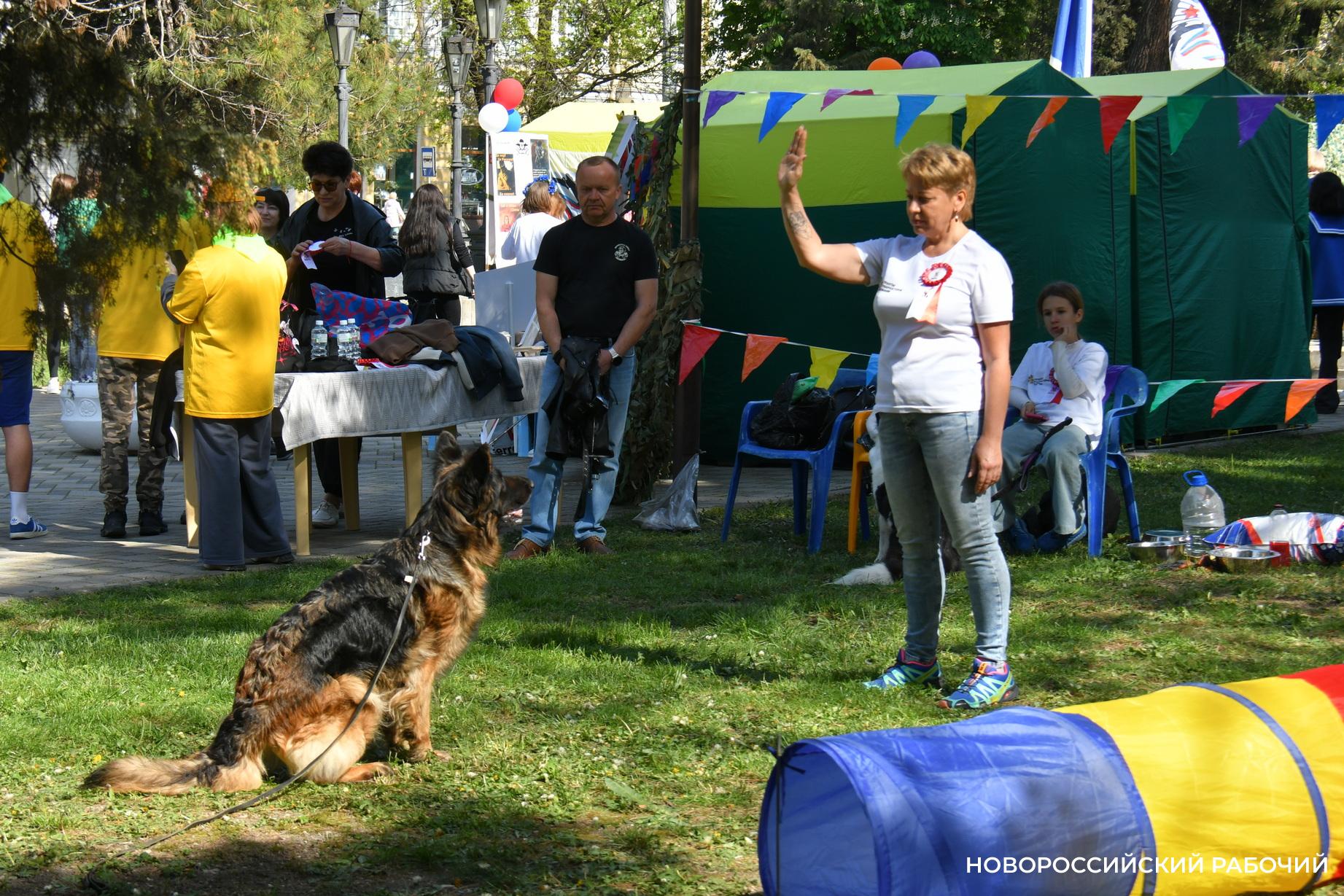В Новороссийске общественников учили, как воспитать владельцев собак
