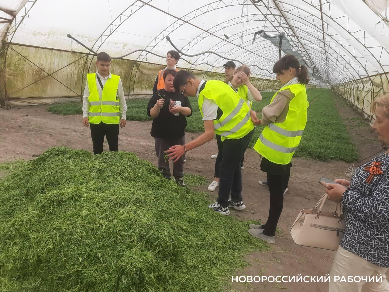 Особые подростки из Новороссийска открыли для себя теплицы, пекарни и овощехранилище