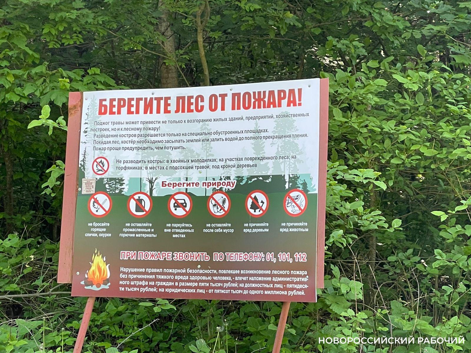 Вчера в Новороссийске ликвидировали лесной пожар