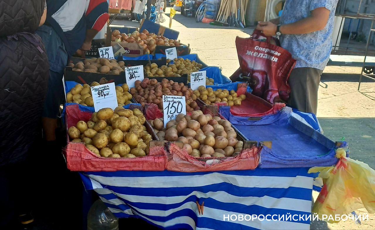 В Новороссийске пора солить огурцы и варить молодую картошку