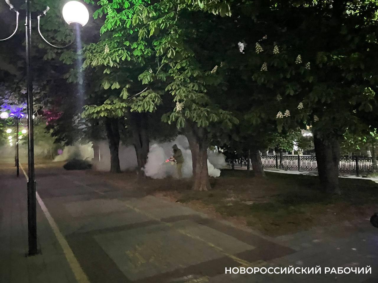 В Новороссийске начали борьбу с кровососами