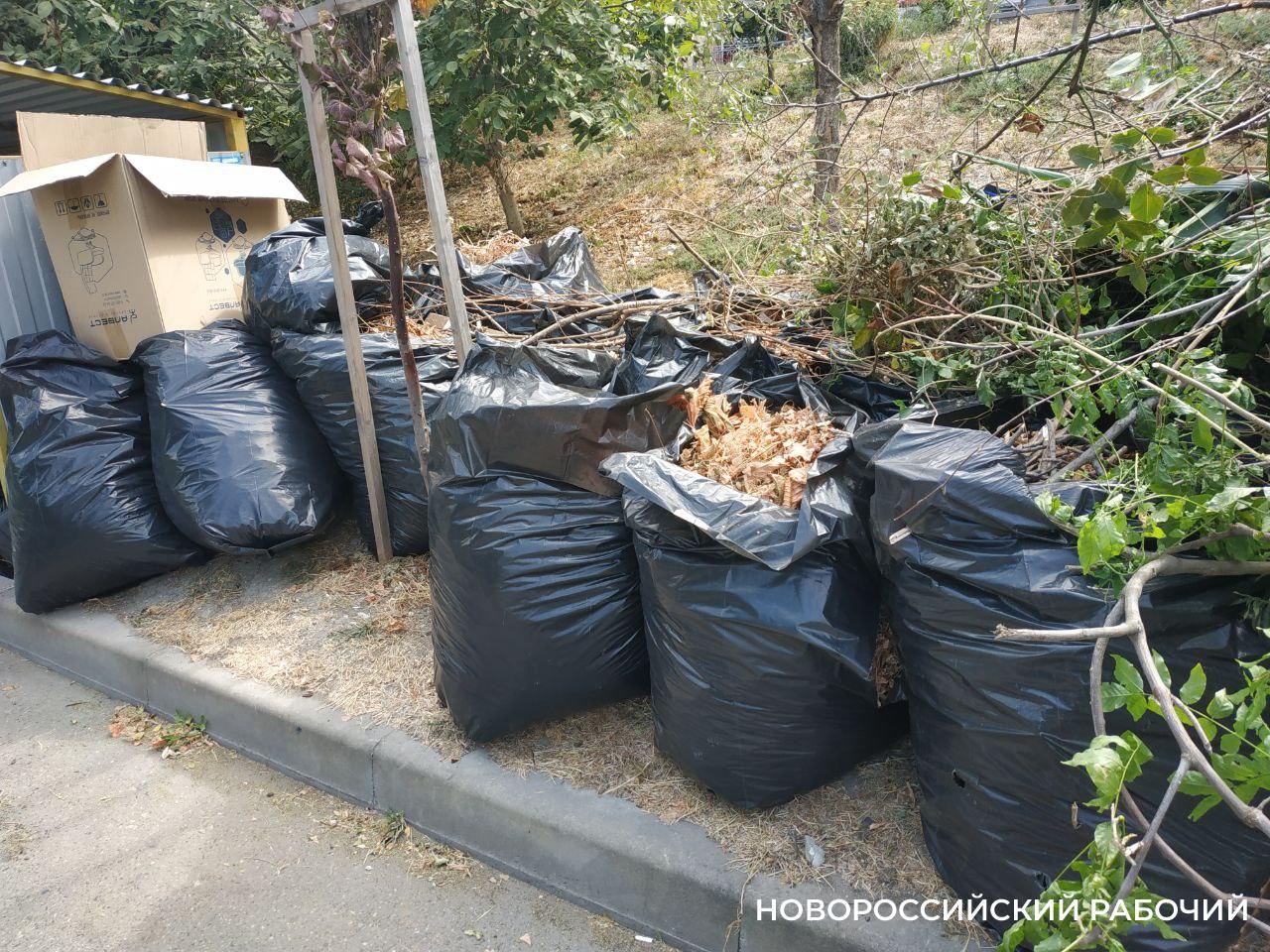 В Новороссийске вывозят все больше и больше мусора. Почему не становится чище?