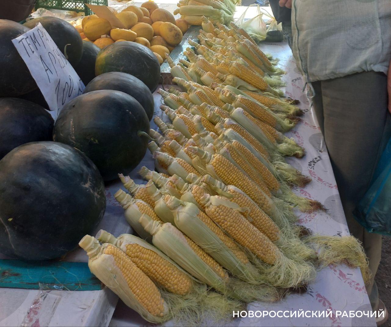 В Новороссийске пора варить кукурузу