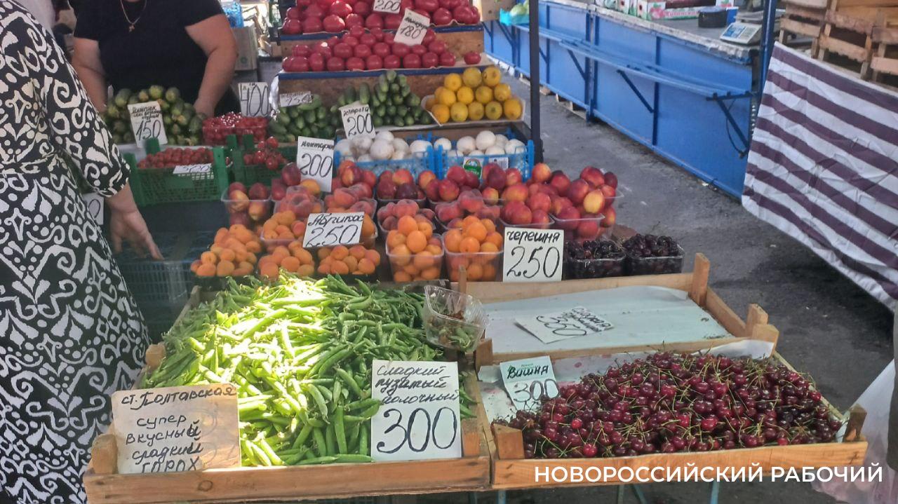 В Новороссийске летние импортные фрукты дешевле местных ягод