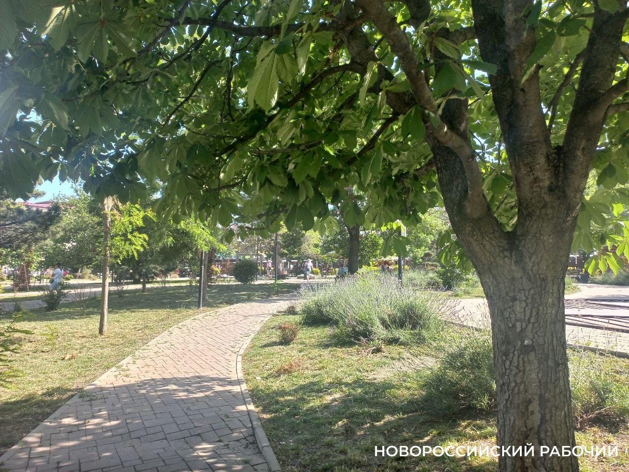 Новороссийск и его ближайшие соседи названы «жемчужиной роста экономики». Где точки роста