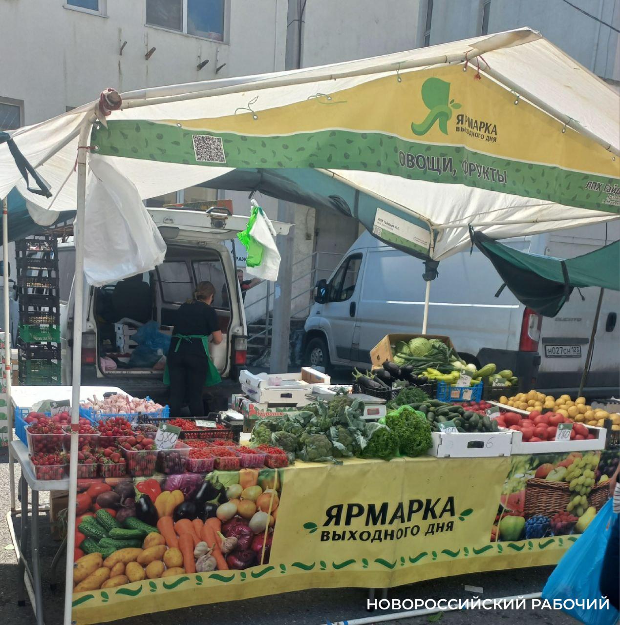 В спальном районе Новороссийска жители предлагают открывать ярмарки на пустырях. Это реально?