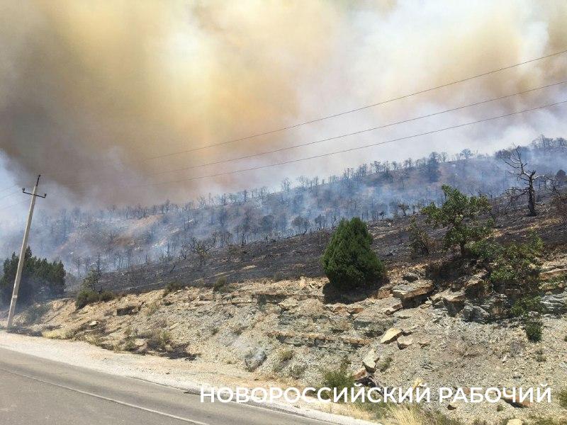 В пригороде Новороссийска горит лес. Автомобилистов просят не ездить в Сухую щель