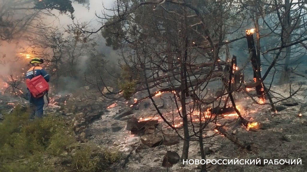 В Новороссийске действует 5, самый высокий класс пожароопасности