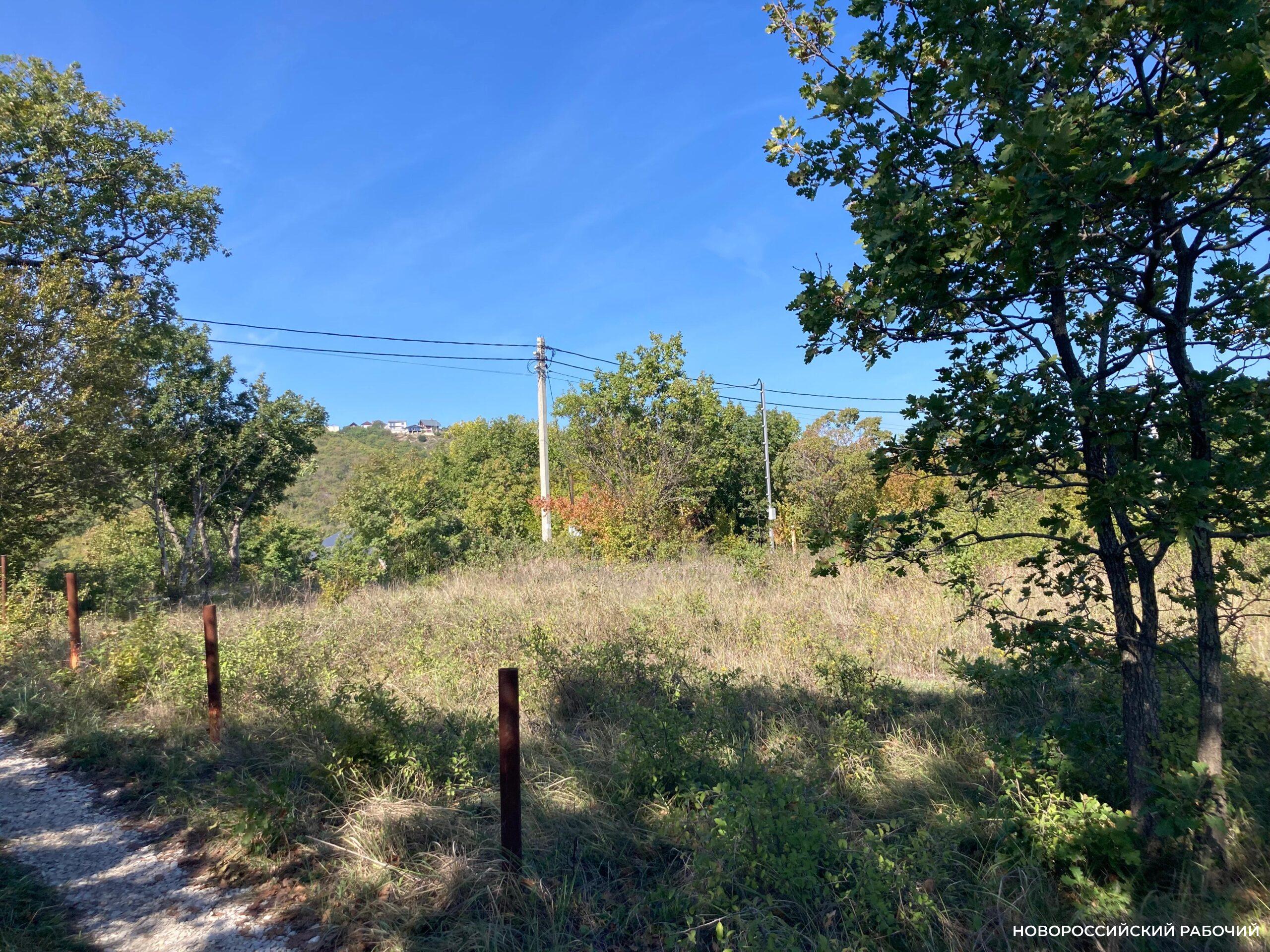 В Новороссийске дадут многодетным семьям под строительство 20 участков земли