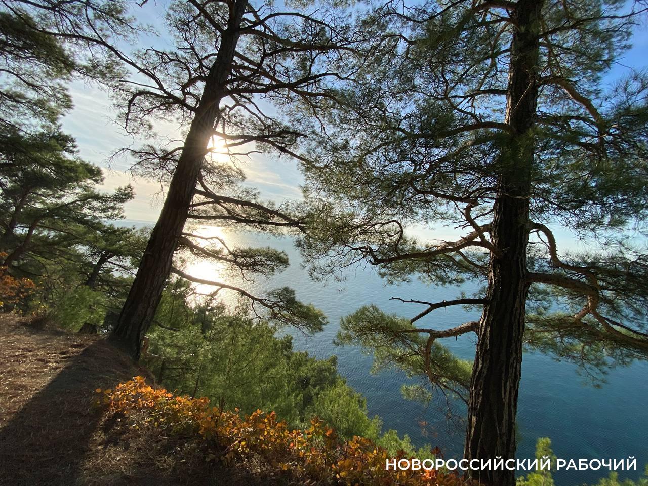 Советы дня на 5 ноября: о президентской гонке, «Шхуне ровесников» и рассматривании старых фотографий