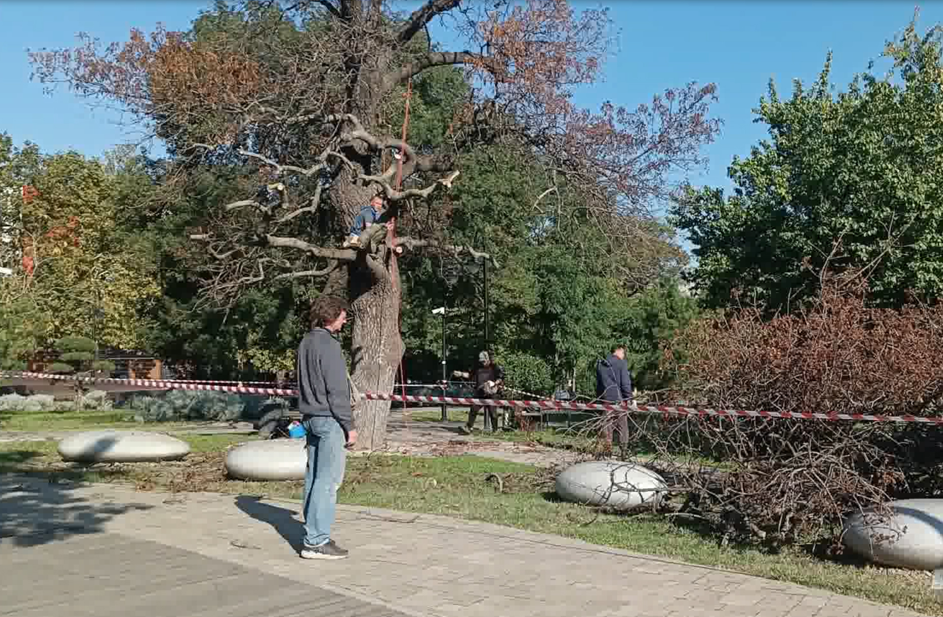 Новороссийск в моменте. Сквер Чайковского