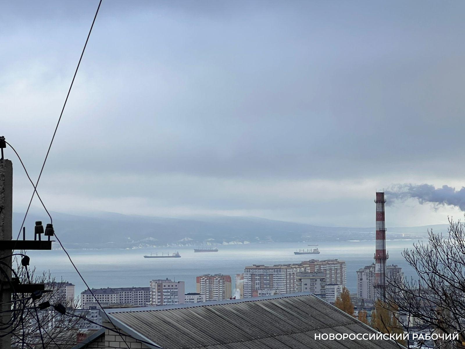 Орехи, чай и кофе придут в Новороссийск по новой линии из Кении