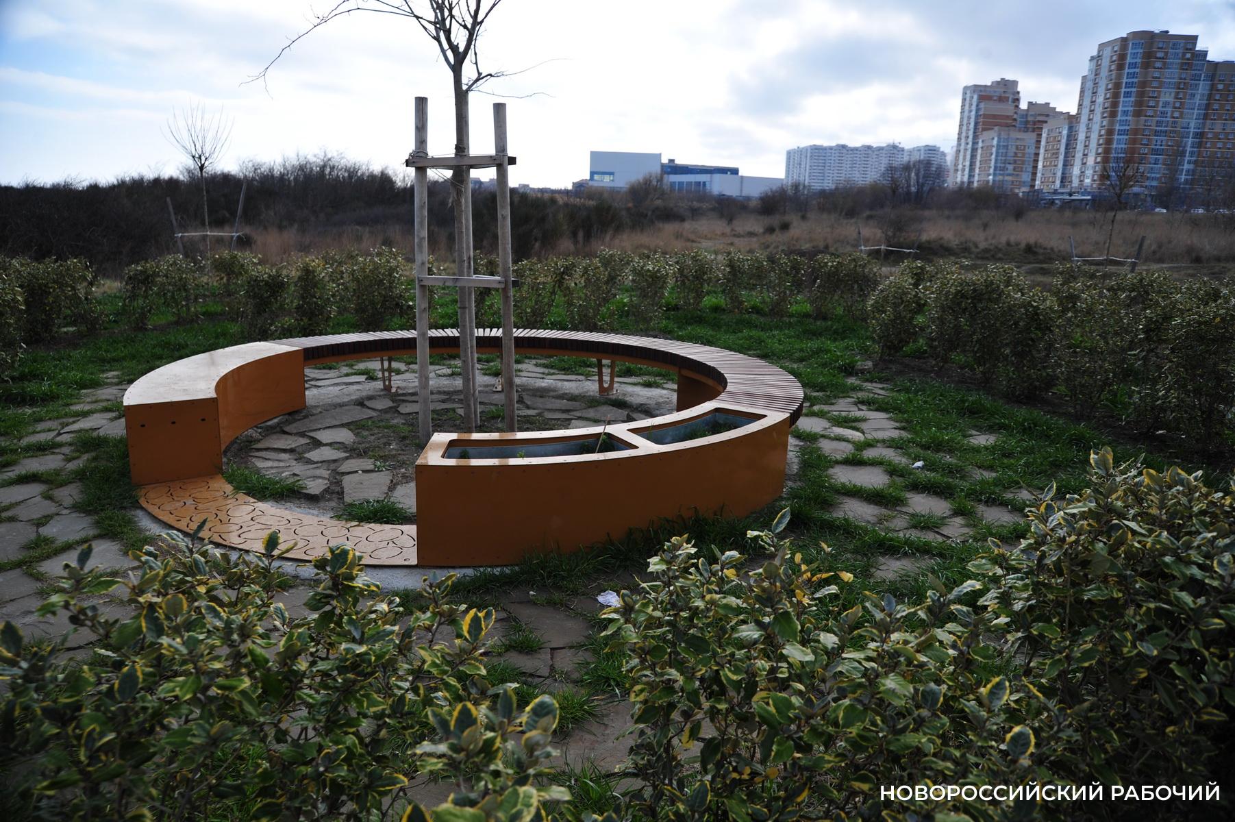 Форумную площадь, дендропарк и «Южные пруды» в Новороссийске объединяют под одним брендом