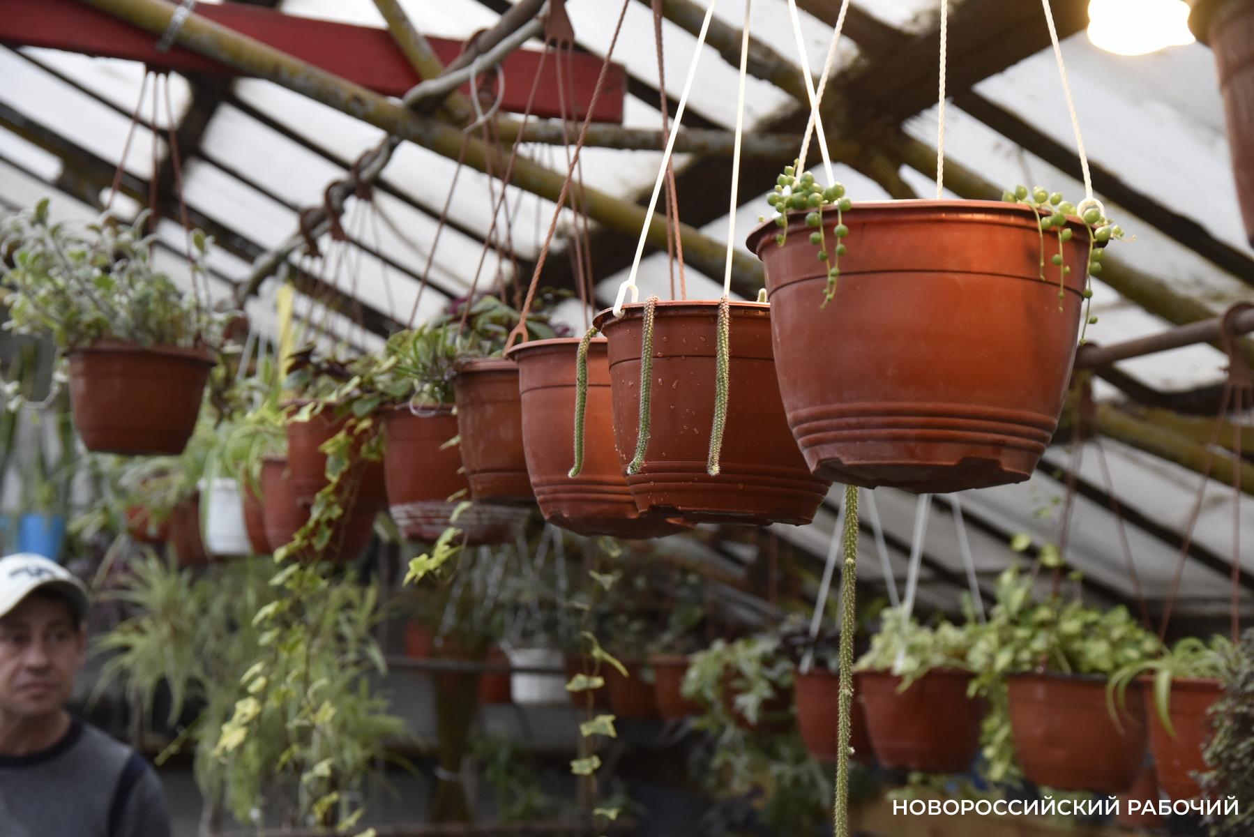 Советы дня на 17 октября: о безвкусице, базе данных и саммите виноделов