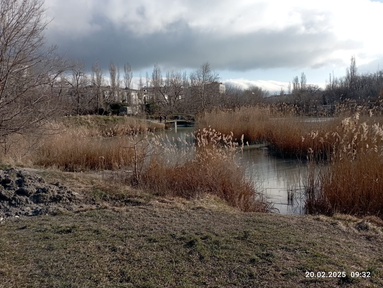 Глава Новороссийска  Андрей Кравченко: «На Южных прудах ничего не затягивается»