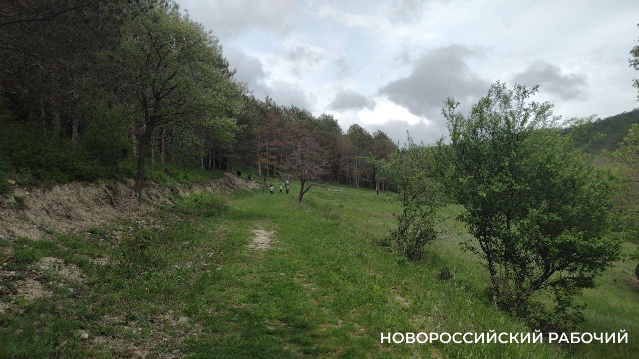 Советы дня на 9 ноября: о детской телепередаче, ожирении и печали во благо