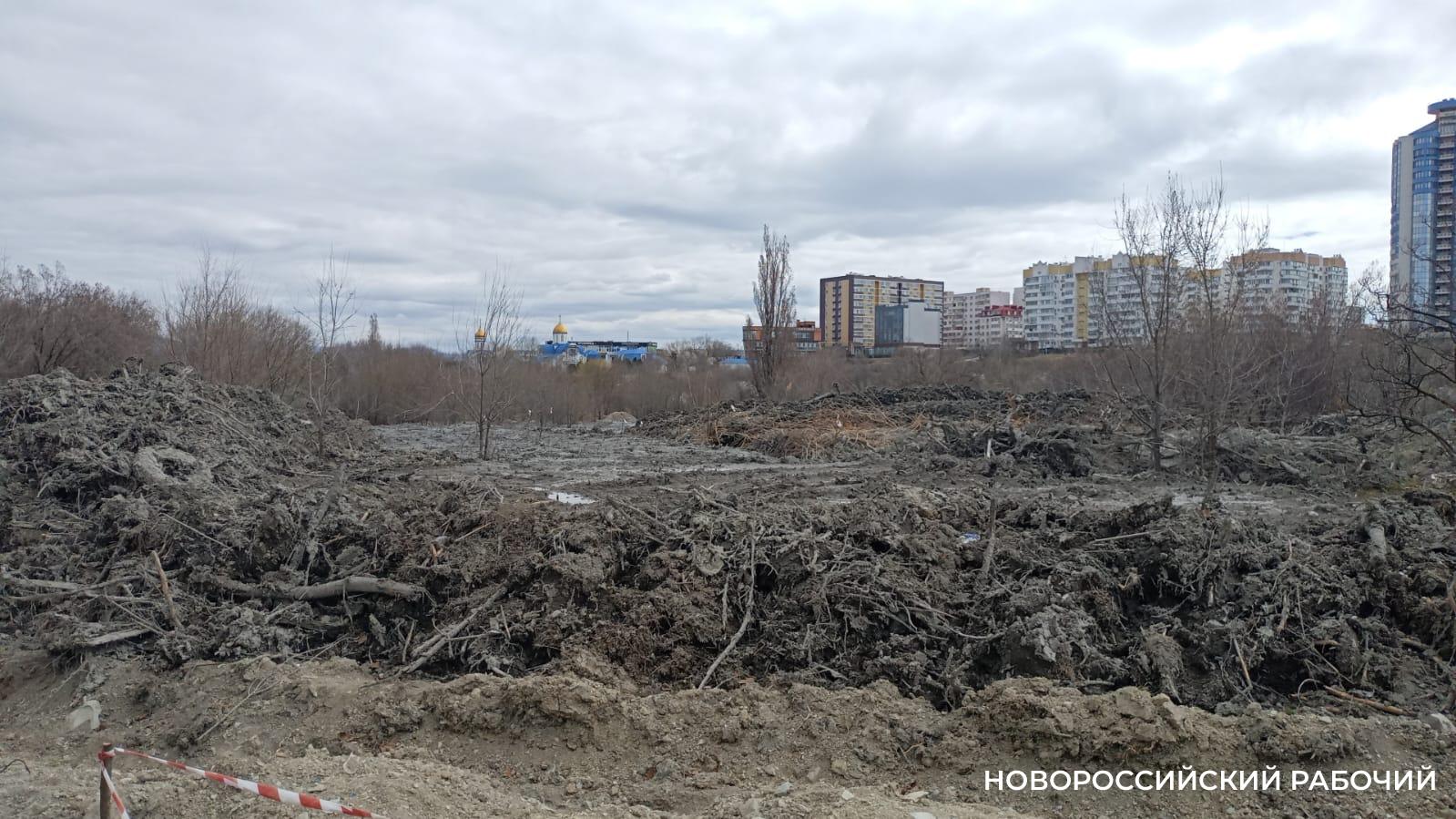 Вывоз ила, которым завалили ООПТ в Новороссийске, оценили в 80 миллионов рублей     