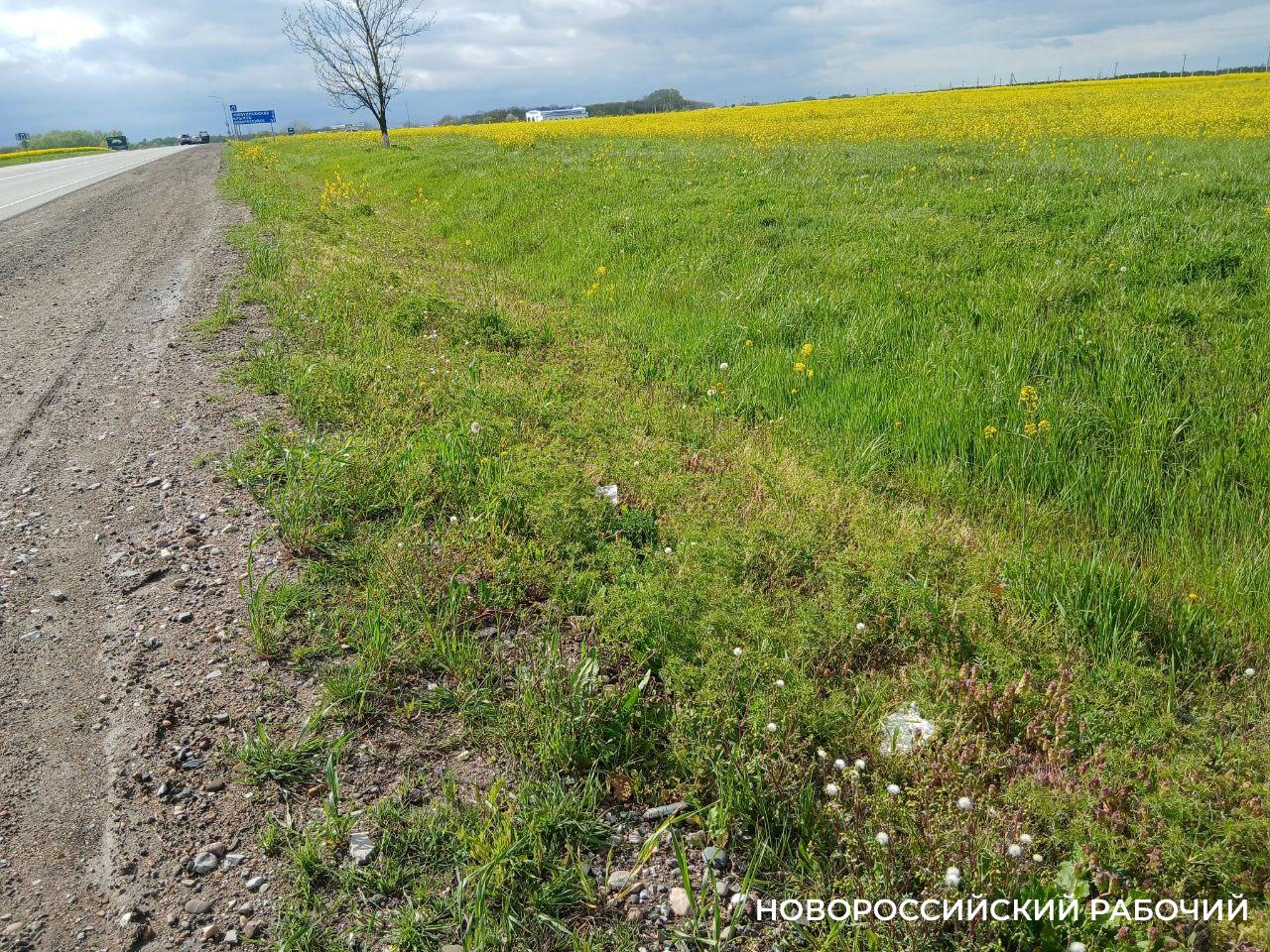 В Новороссийске участникам СВО выделили 14,5 гектара земли