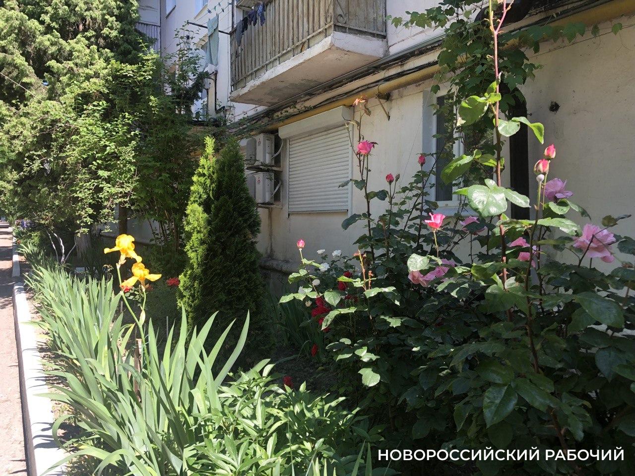 Советы дня на 1 декабря: о первом дне зимы, журнале Playboy и советской власти