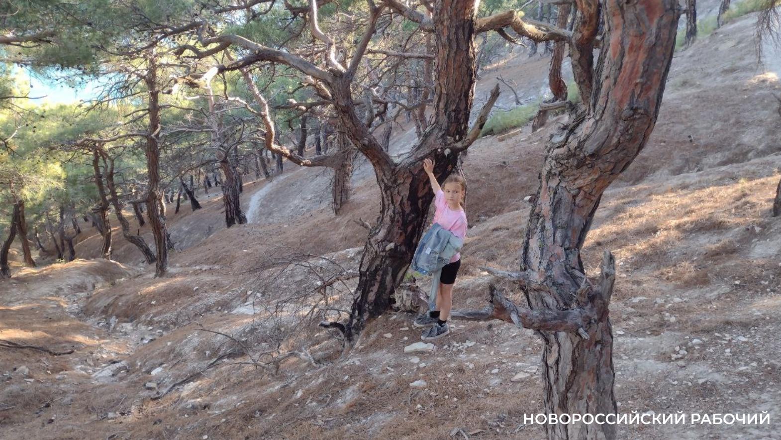 Советы дня на 10 августа: о Неберджаевском водоводе, попутном ветре о «космической» свадьбе