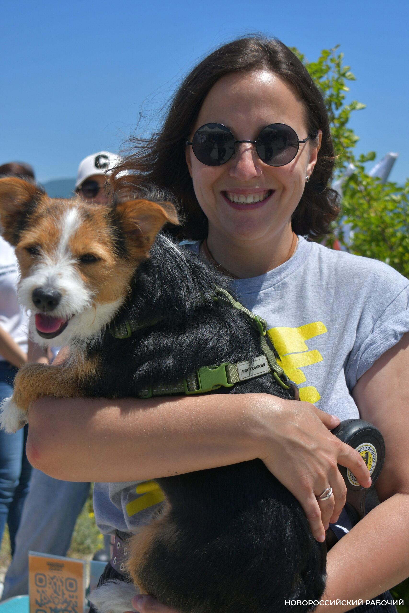 Уличное кино, забег с собаками и рубка шашкой – куда пойти в Новороссийске на выходные