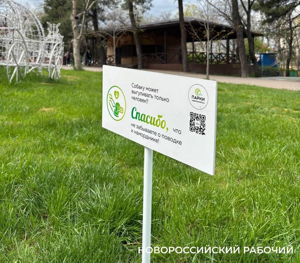 Новороссийцы требуют запретить выгул собак в парке