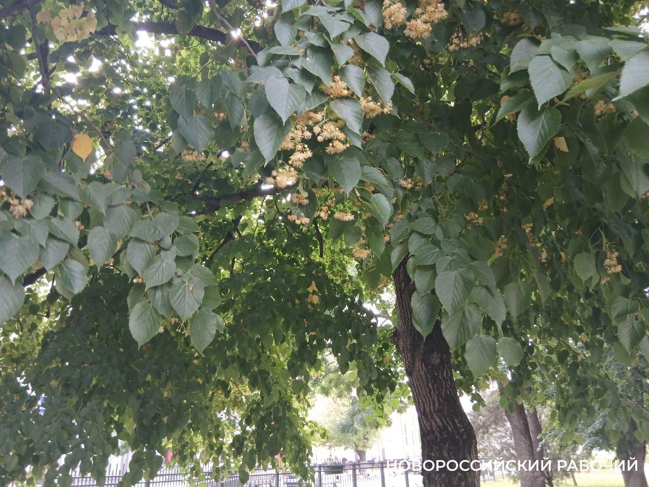 Советы дня на 24 октября: о спецназе, лечении грязью и любви к теплым носкам