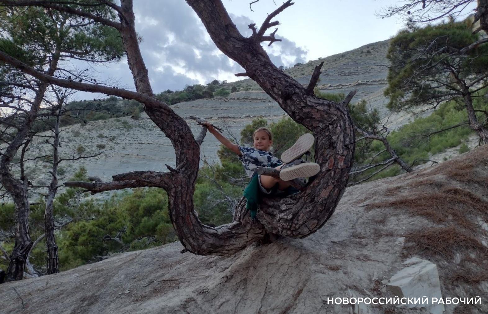 Советы дня на 2 сентября: о письме президенту, закладке Восточного мола и знаках различия высших воинских званий