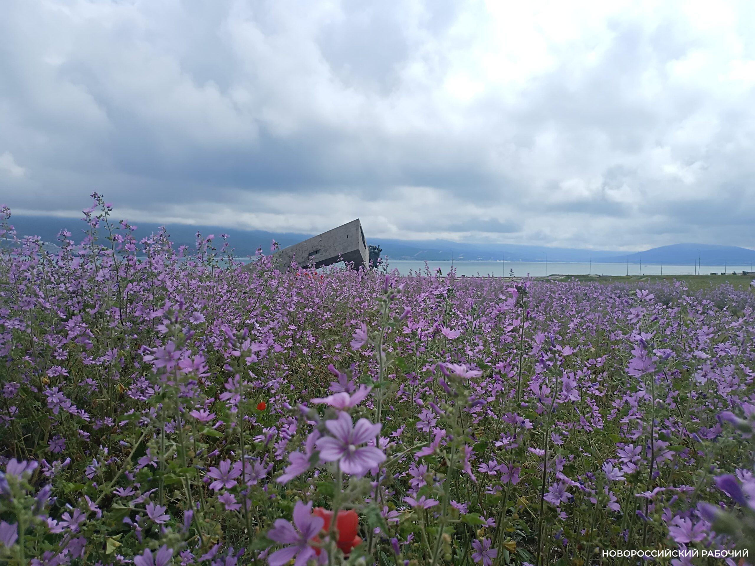 Совет дня на 12 апреля: не сходите с орбиты