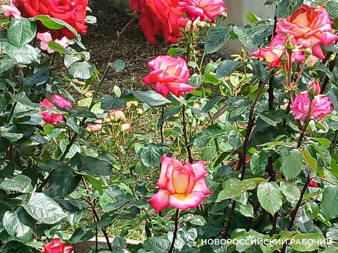 Советы дня на 21 сентября: о поиске сказок, хоббитах и русском единении