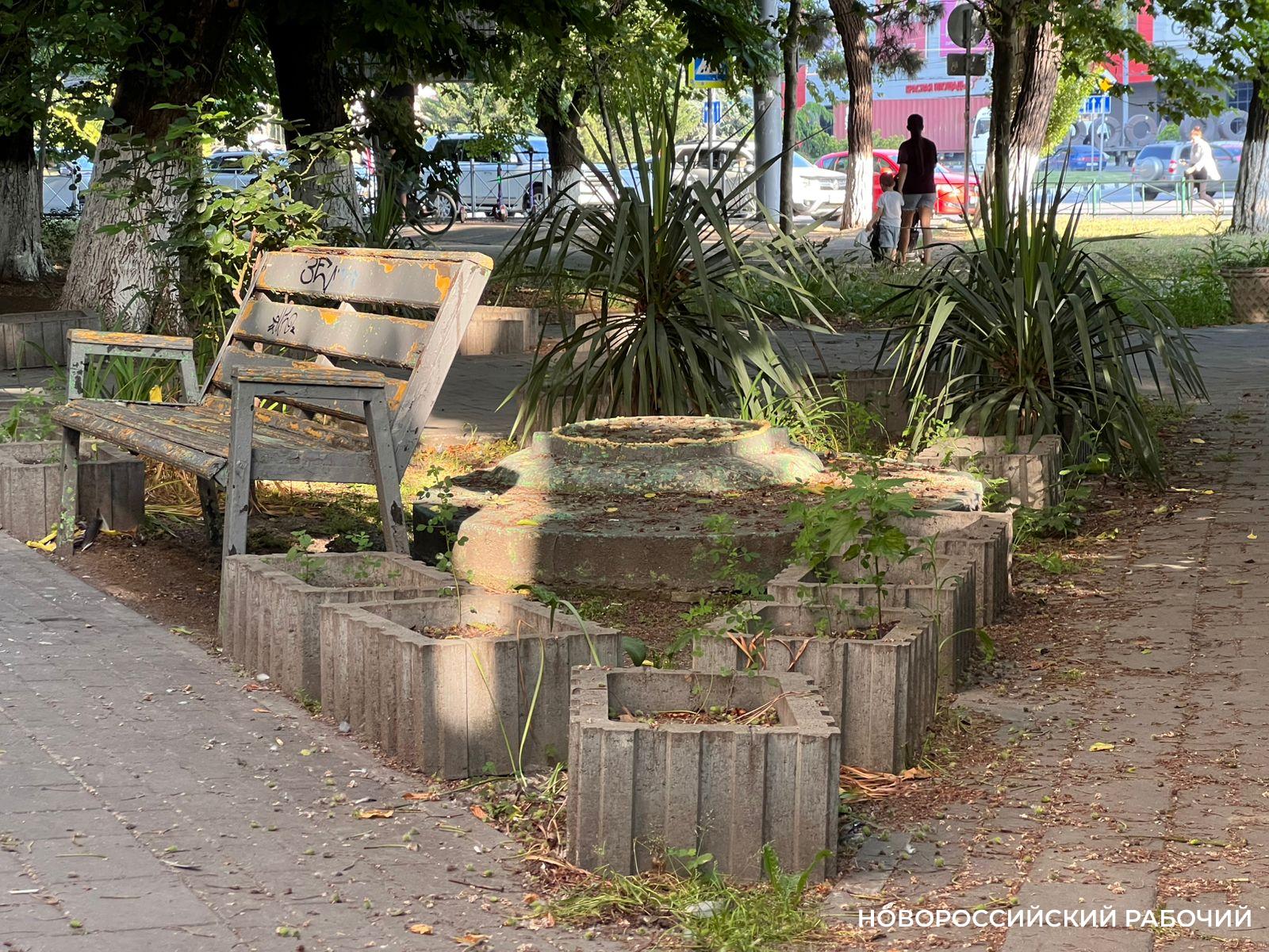В сквере в центре  Новороссийска чистоту наводят по несколько раз в день. Откуда мусор?