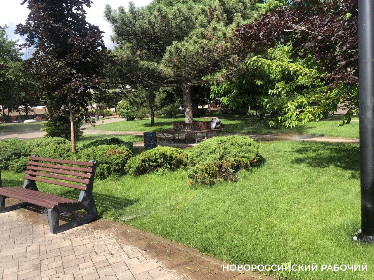 В Новороссийске на озеленение выделили 100 миллионов рублей