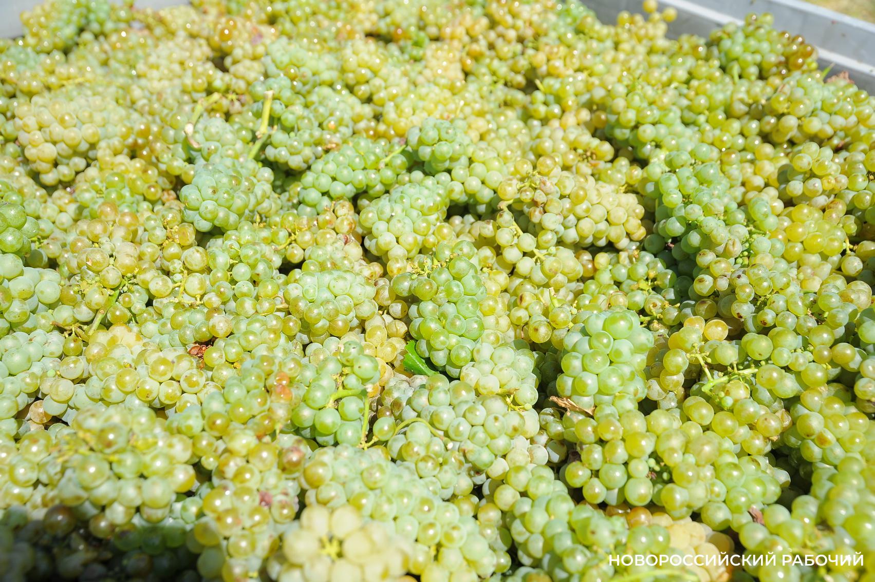 Советы дня на 30 сентября: о вискозе, первой «Театральной гавани» и улёте