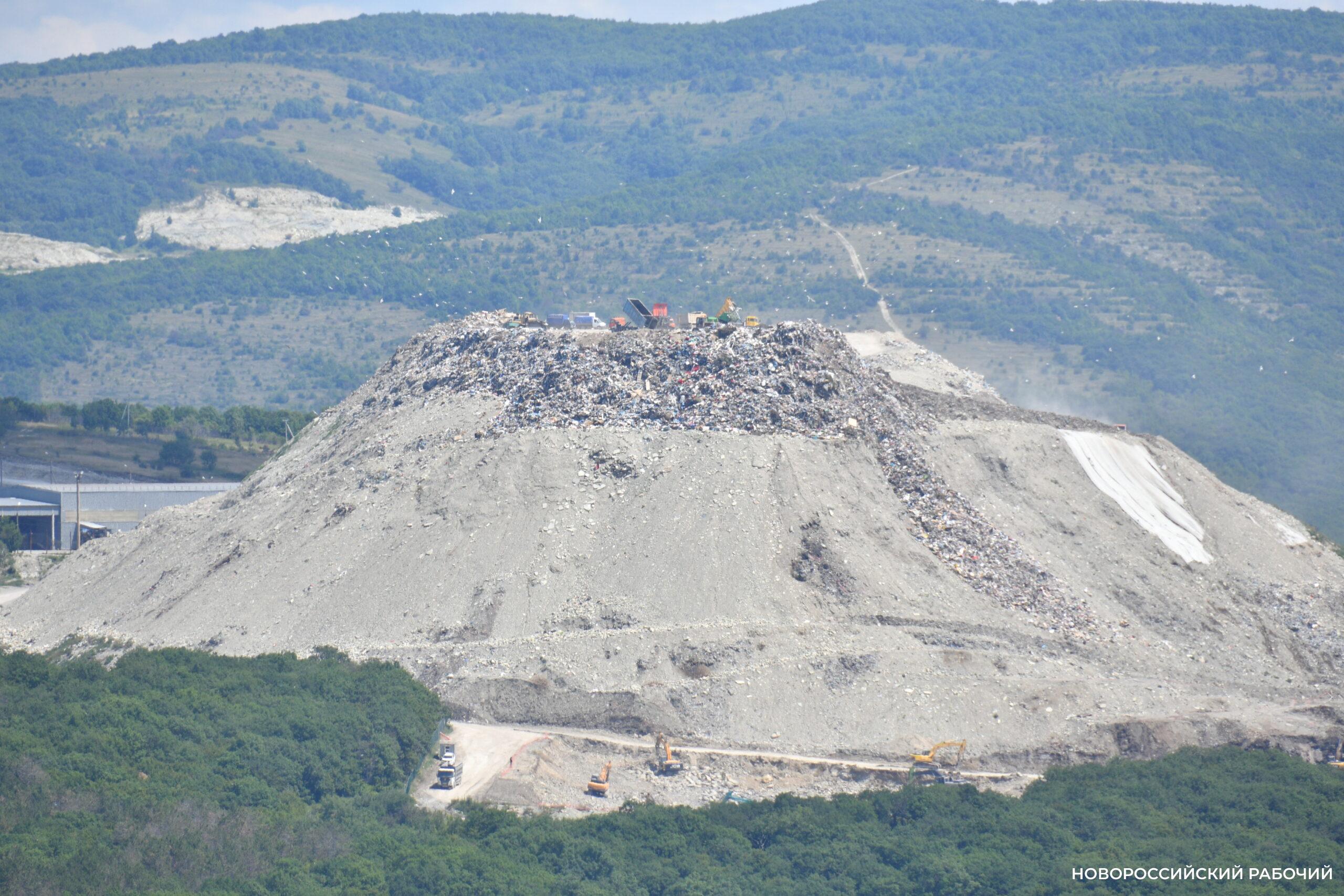 Стало ли в Новороссийске чище?