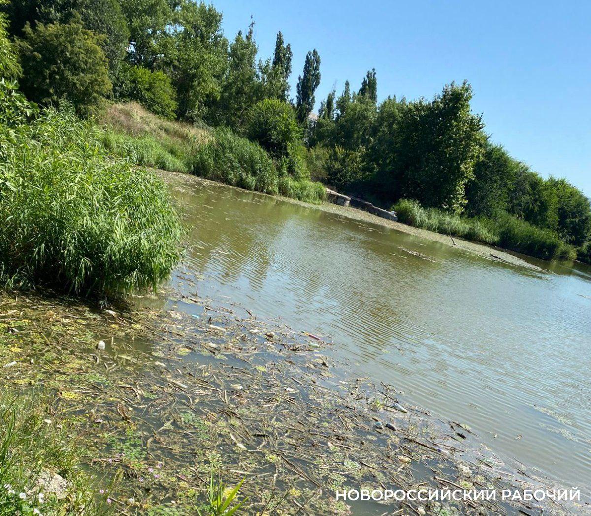 В Новороссийске освобождать ООПТ от завалов ила могут начать уже в июле