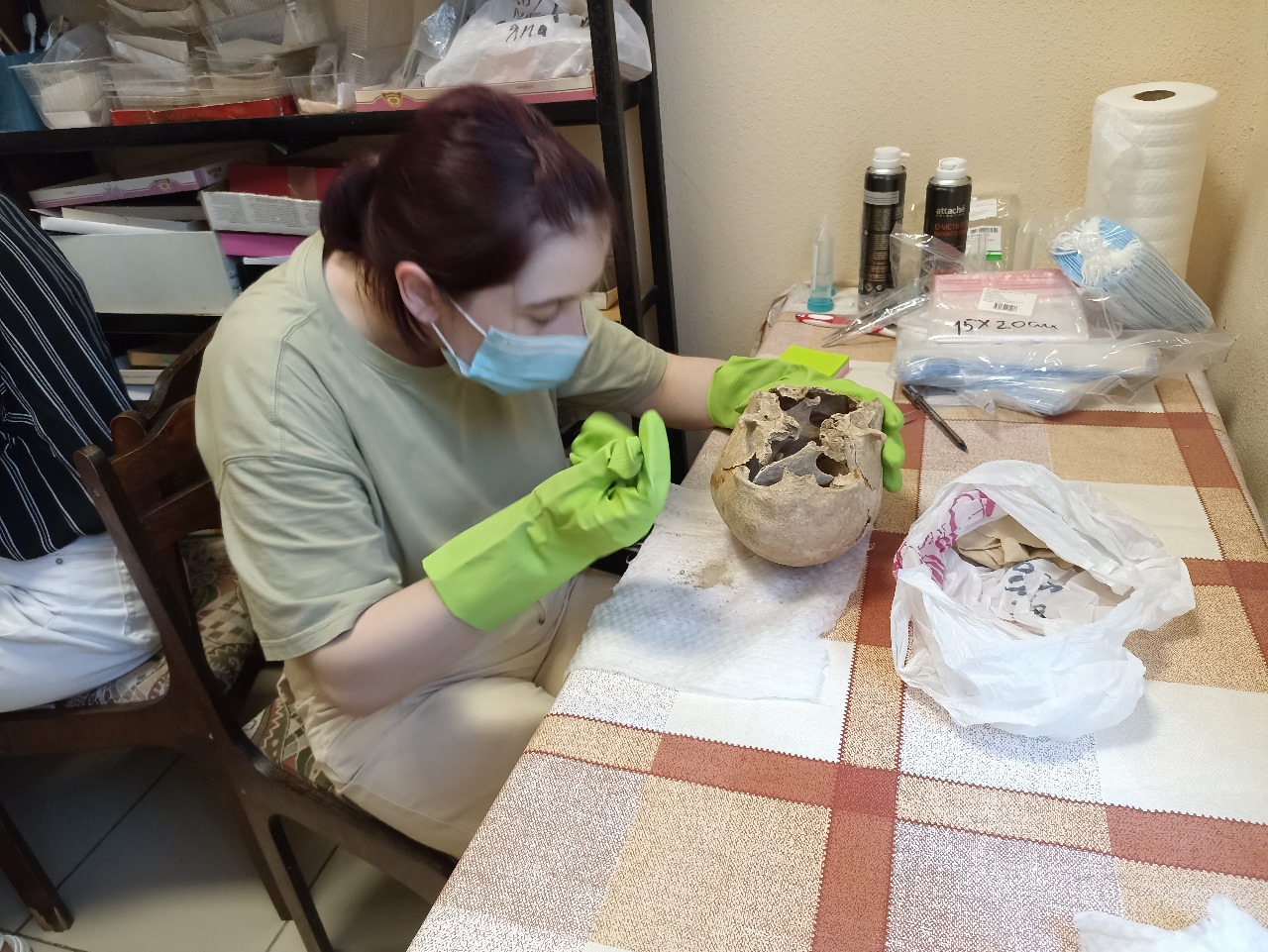 Останки из могильника Дюрсо под Новороссийском отправили на экспертизу в «Сириус»