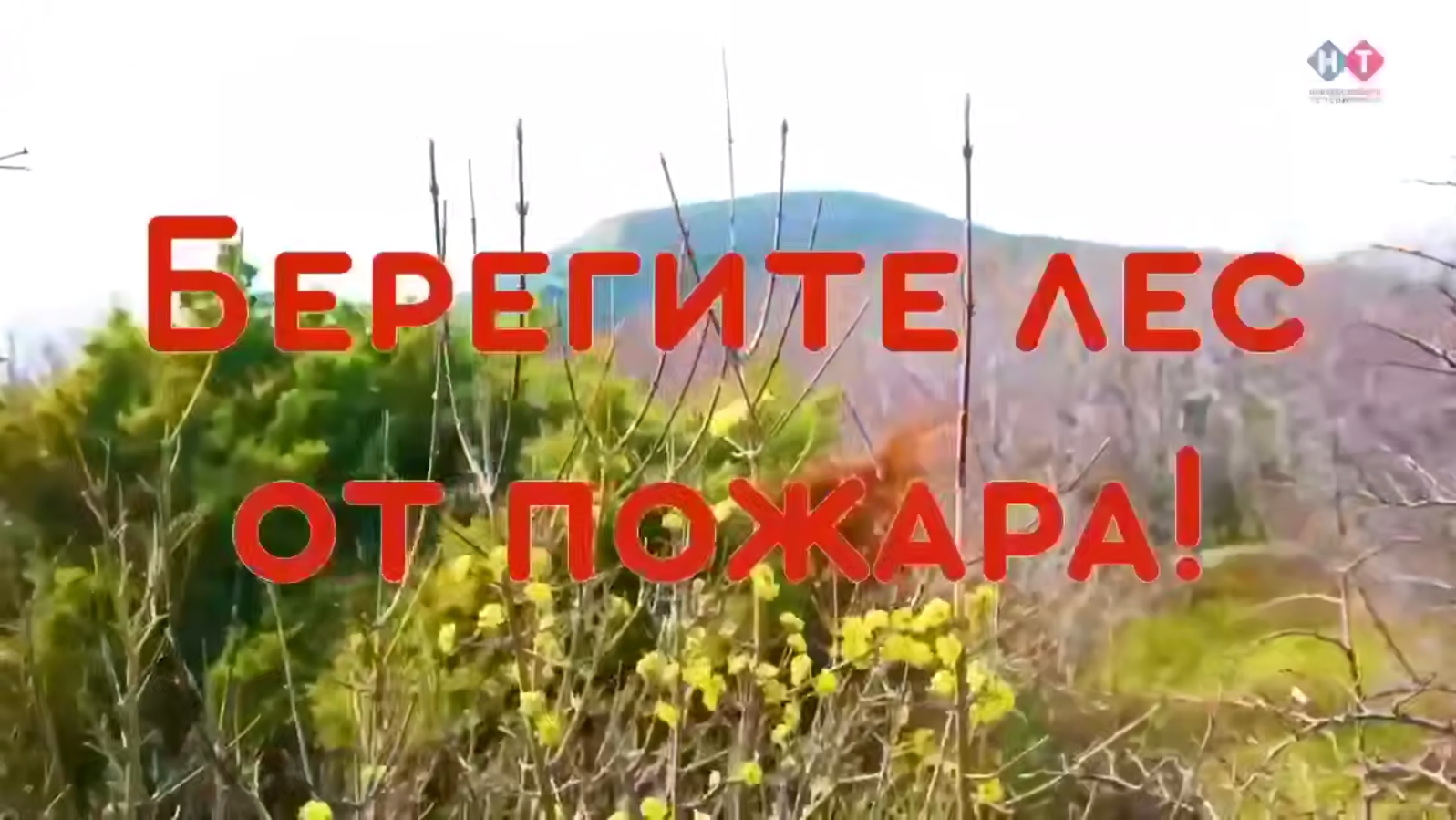 Новороссийцев предупреждают об опасности лесных пожаров