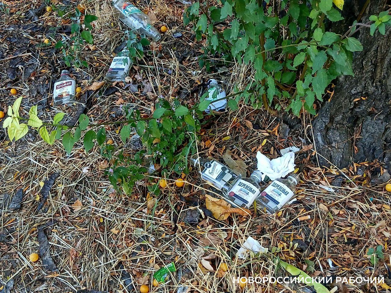 Центральная улица Новороссийска захламлена коробками и бутылками из-под водки
