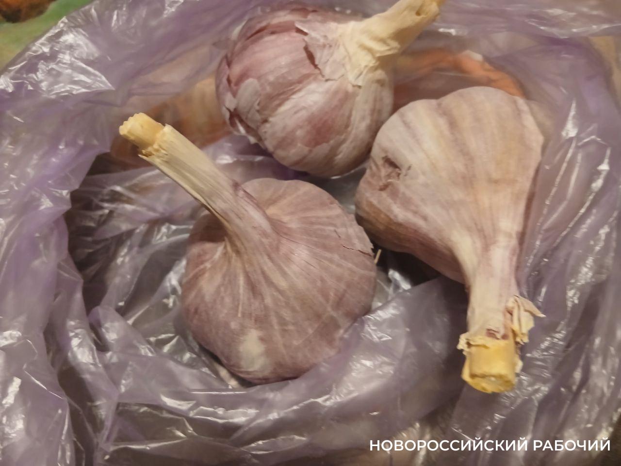 Пастернак, лук и чеснок – самые дорогие овощи на рынке Новороссийска