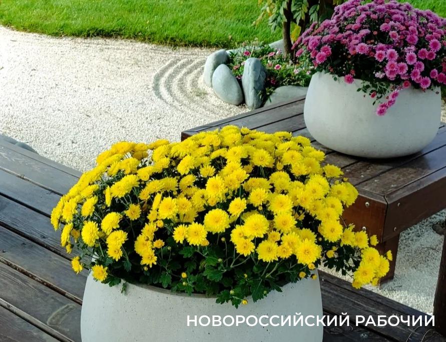 Советы дня на 15 ноября: о поселковом совете, призывниках и вторичной переработке