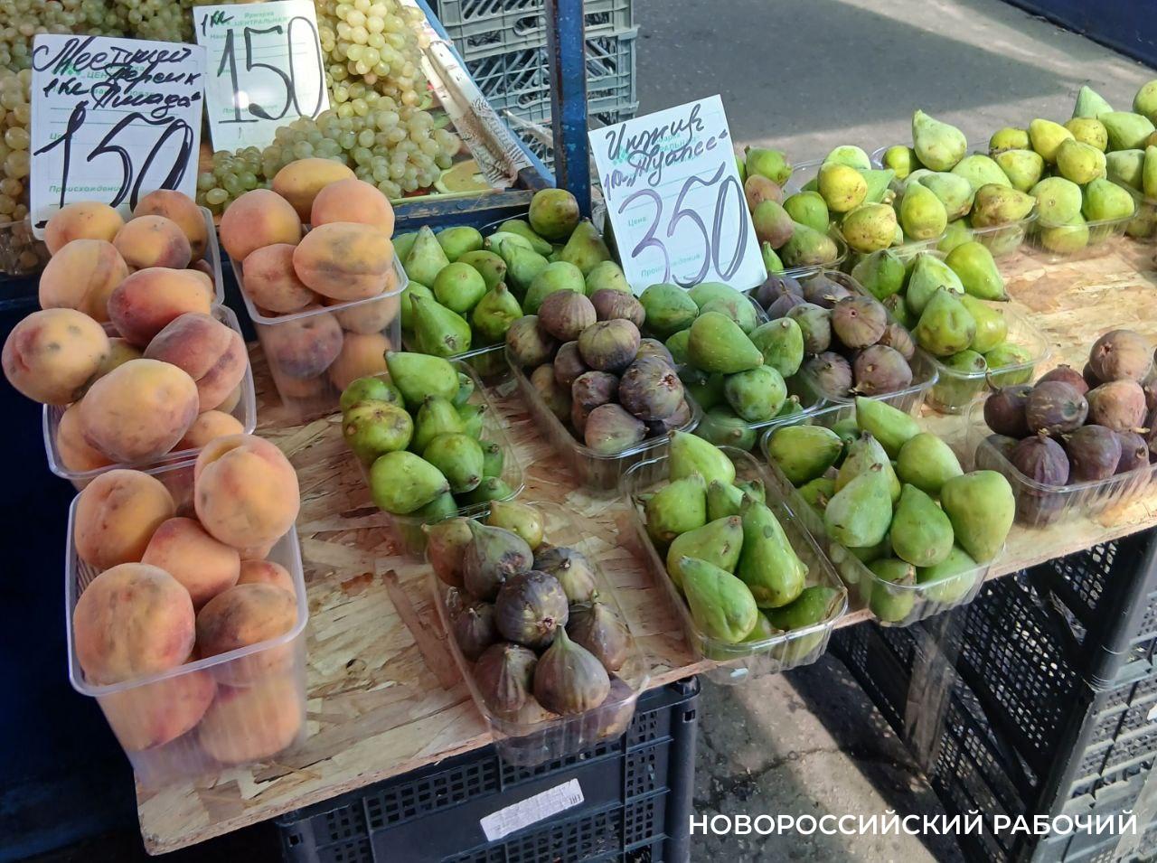 В Новороссийске настала пора инжира