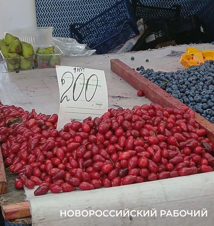 В Новороссийске лесной кизил дороже садового