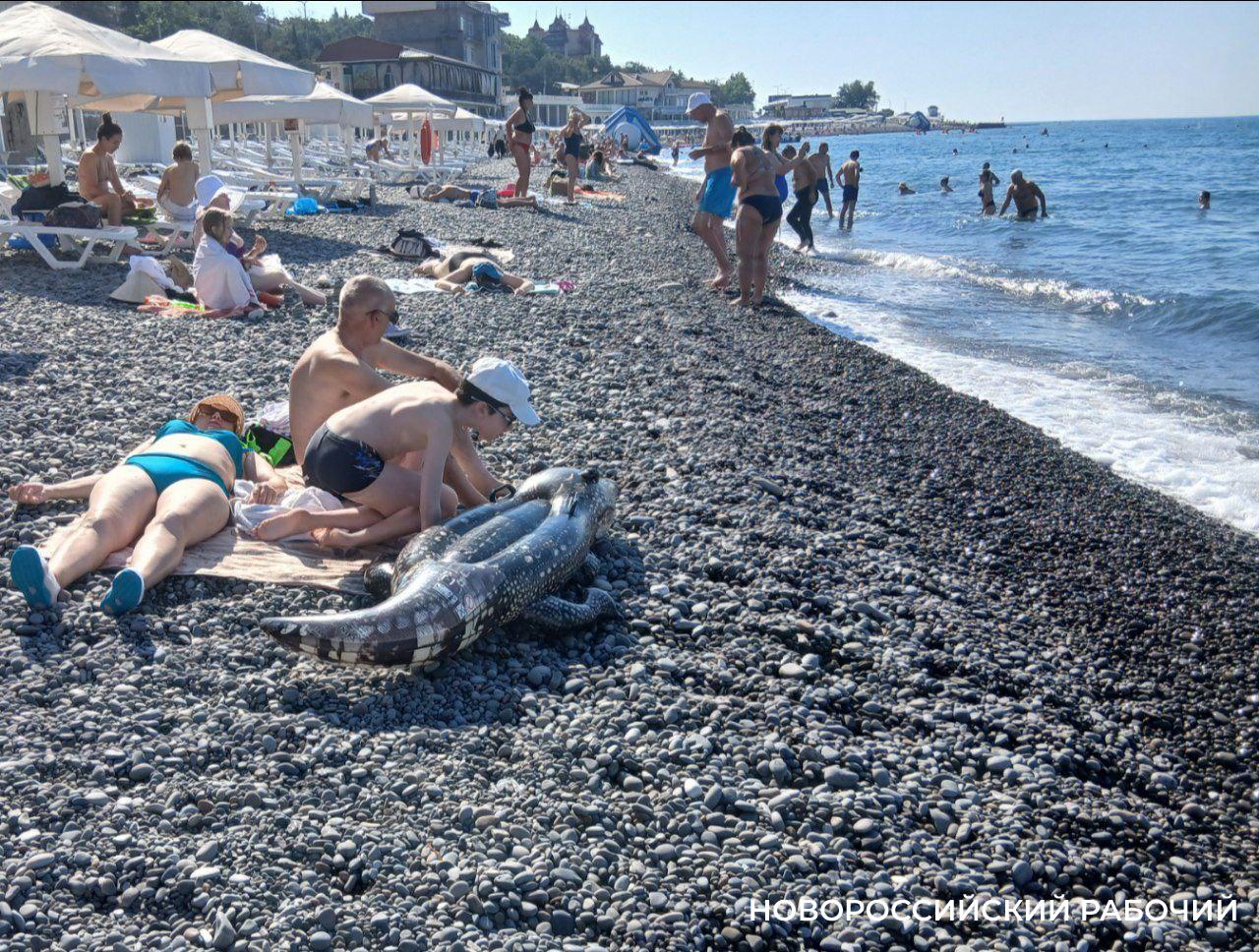 Июль в Новороссийске: ночи жарче, чем на египетских курортах
