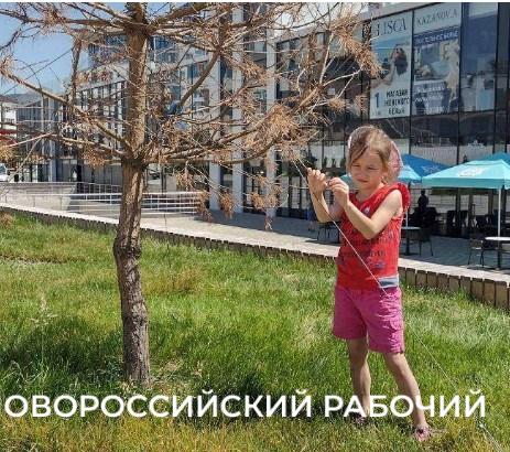 «Все погибает на наших глазах!» В Новороссийске жители жалеют парк Фрунзе