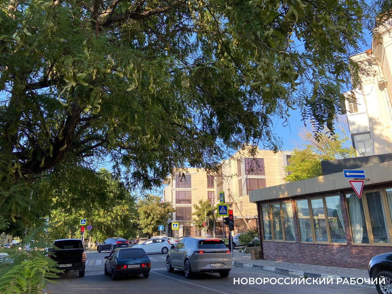 Вчера Новороссийск накрыла огромная пробка