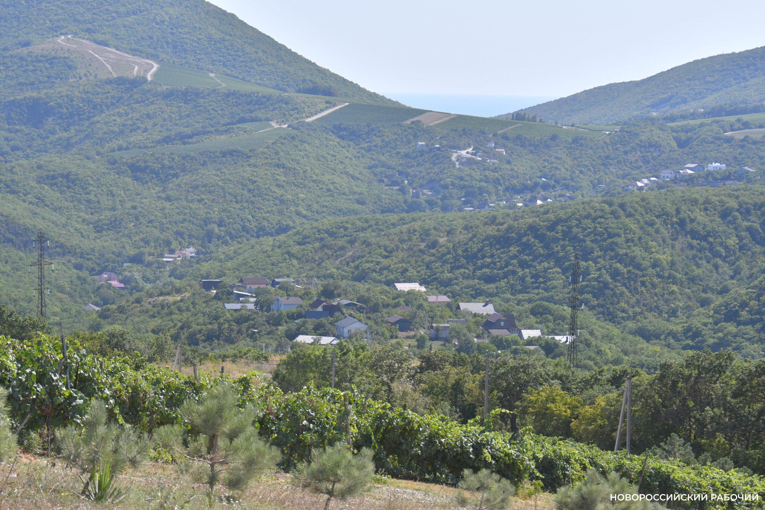 В дачных поселках Новороссийска соседи «сделали бизнес» – настроили турбаз. Как выжить?